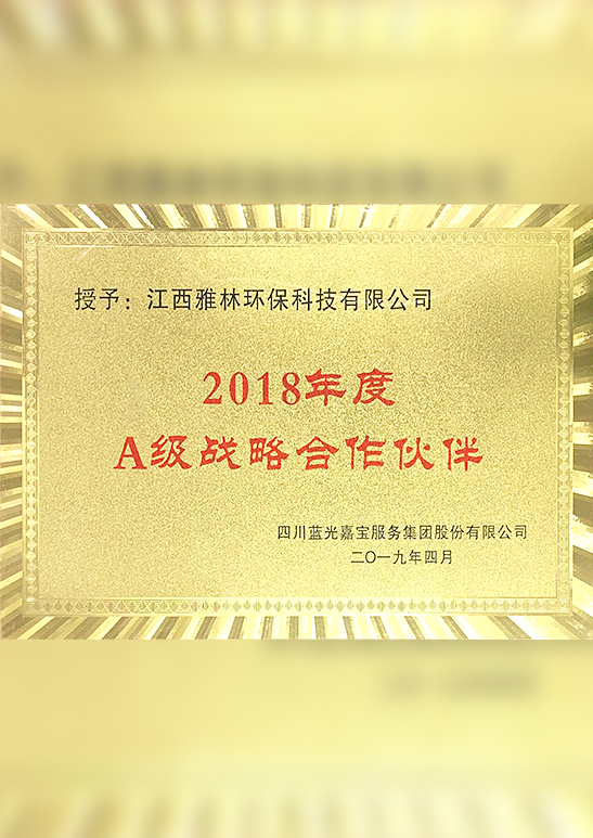 2018年度A級(jí)戰(zhàn)略合作伙伴
